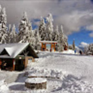 Meet your Posher, Bing